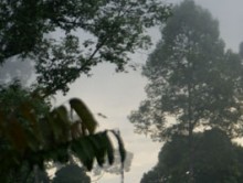 Projektreise nach Borneo (Indonesien)